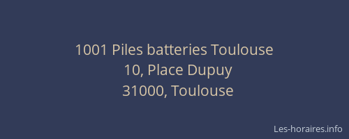 1001 Piles batteries Toulouse
