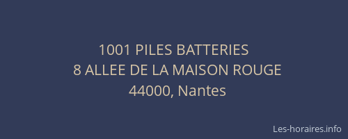 1001 PILES BATTERIES