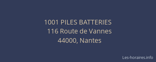 1001 PILES BATTERIES