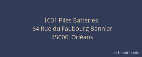 1001 Piles Batteries