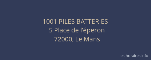 1001 PILES BATTERIES
