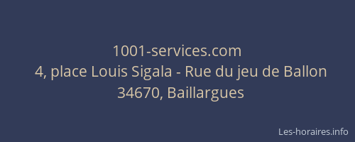 1001-services.com
