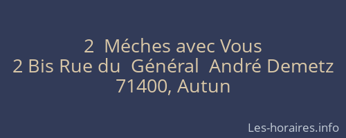 2  Méches avec Vous