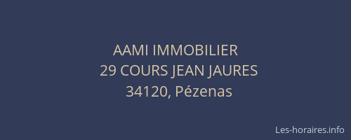 AAMI IMMOBILIER