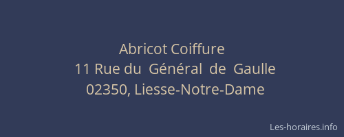 Abricot Coiffure