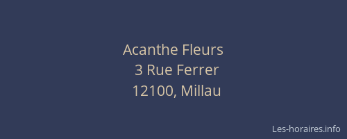 Acanthe Fleurs