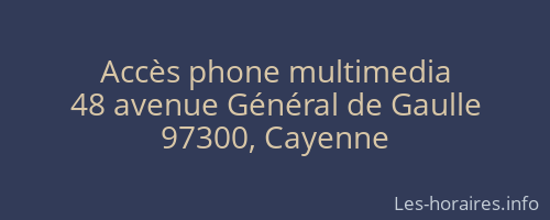 Accès phone multimedia