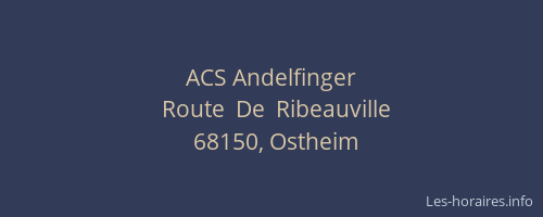 ACS Andelfinger
