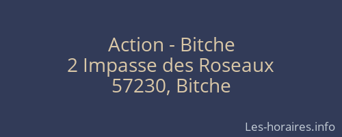 Action - Bitche