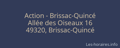 Action - Brissac-Quincé
