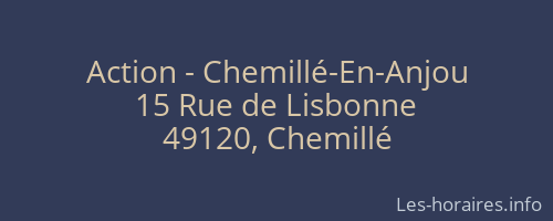 Action - Chemillé-En-Anjou