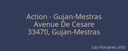 Action - Gujan-Mestras