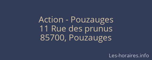 Action - Pouzauges