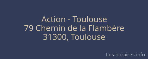 Action - Toulouse