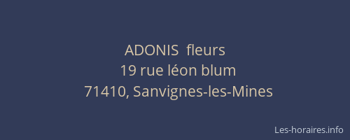 ADONIS  fleurs