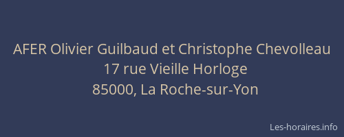 AFER Olivier Guilbaud et Christophe Chevolleau