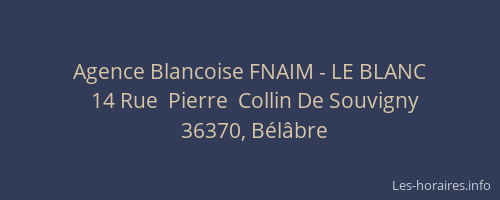 Agence Blancoise FNAIM - LE BLANC
