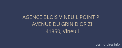 AGENCE BLOIS VINEUIL POINT P
