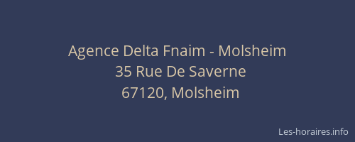 Agence Delta Fnaim - Molsheim