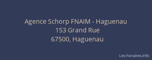Agence Schorp FNAIM - Haguenau