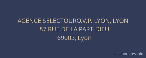 AGENCE SELECTOURO.V.P. LYON, LYON
