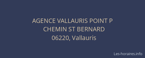 AGENCE VALLAURIS POINT P