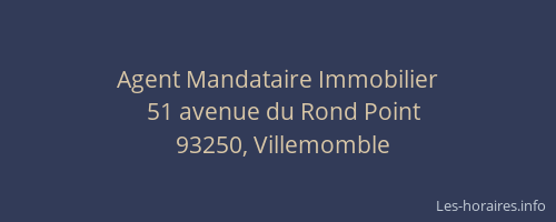 Agent Mandataire Immobilier