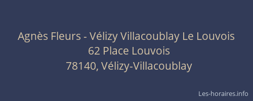 Agn&egrave;s Fleurs - V&eacute;lizy Villacoublay Le Louvois