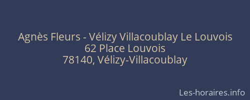 Agnès Fleurs - Vélizy Villacoublay Le Louvois