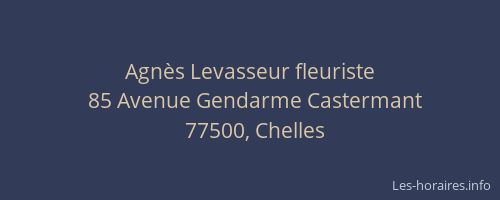 Agnès Levasseur fleuriste