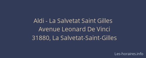 Aldi - La Salvetat Saint Gilles
