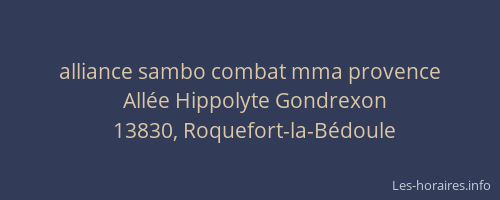 alliance sambo combat mma provence