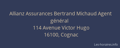 Allianz Assurances Bertrand Michaud Agent général