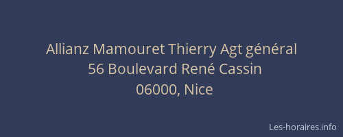 Allianz Mamouret Thierry Agt général