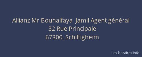 Allianz Mr Bouhalfaya  Jamil Agent général