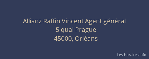Allianz Raffin Vincent Agent général