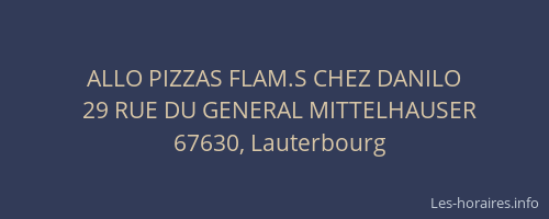 ALLO PIZZAS FLAM.S CHEZ DANILO