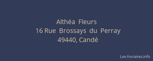 Althéa  Fleurs