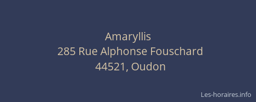 Amaryllis