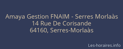 Amaya Gestion FNAIM - Serres Morlaàs