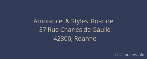 Ambiance  & Styles  Roanne