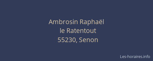 Ambrosin Raphaël