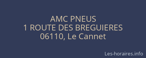 AMC PNEUS