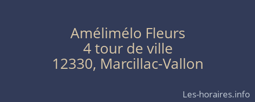 Amélimélo Fleurs