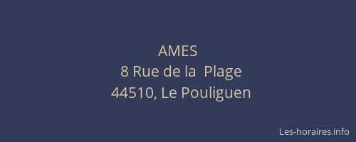 AMES