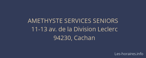AMETHYSTE SERVICES SENIORS