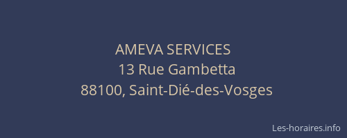 AMEVA SERVICES