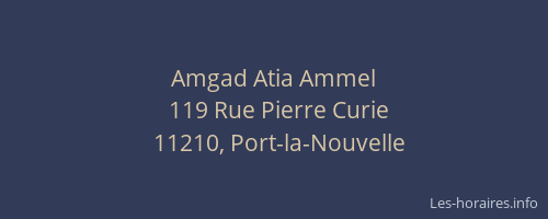 Amgad Atia Ammel
