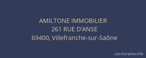 AMILTONE IMMOBILIER