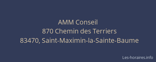 AMM Conseil